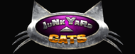 JunkYard Cats